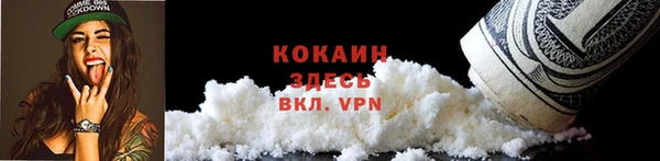 ешки Арсеньев