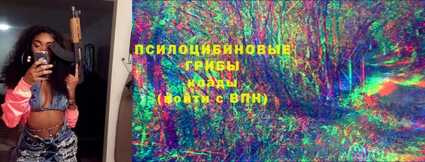 ешки Арсеньев