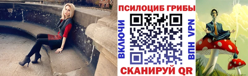 купить цена Могоча Галлюциногенные грибы Cubensis